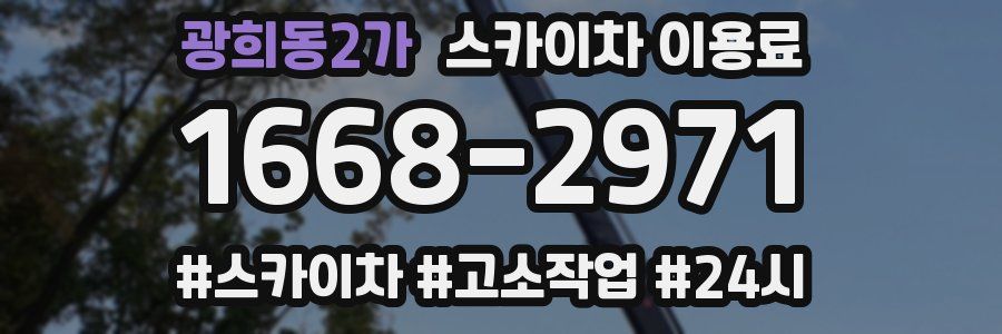 광희동2가 스카이차 이용료