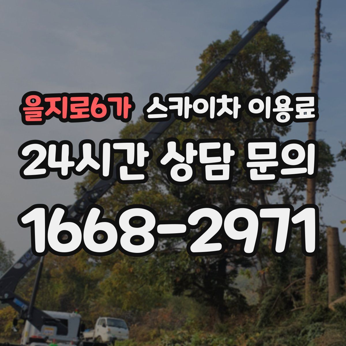 을지로6가 스카이차 이용료