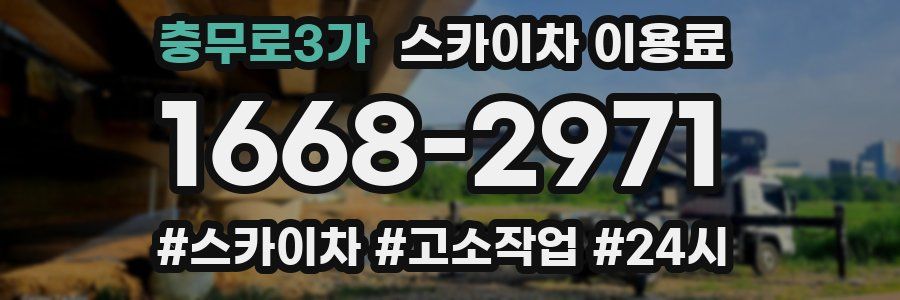충무로3가 스카이차 이용료