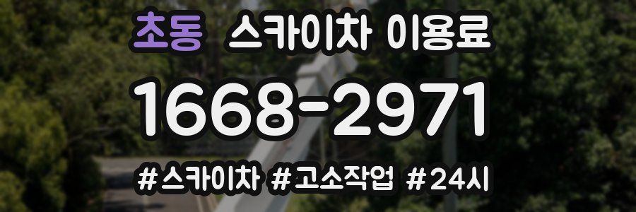 초동 스카이차 이용료