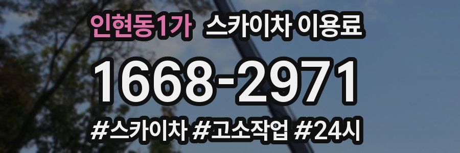 인현동1가 스카이차 이용료