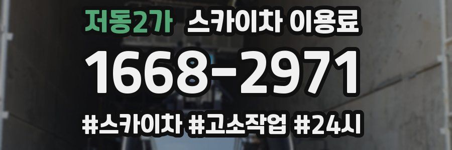 저동2가 스카이차 이용료