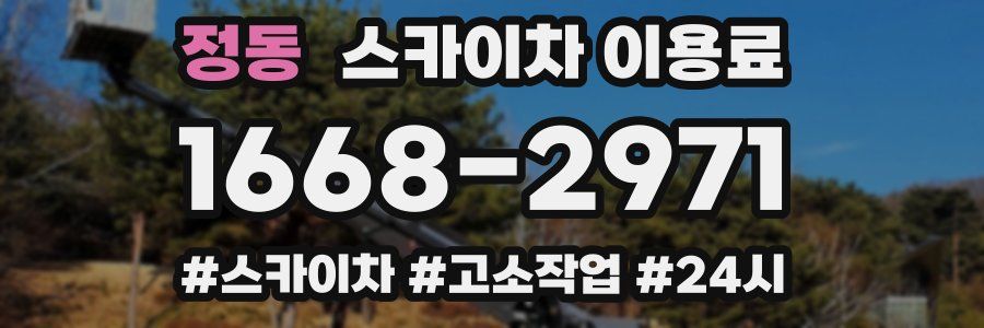 정동 스카이차 이용료