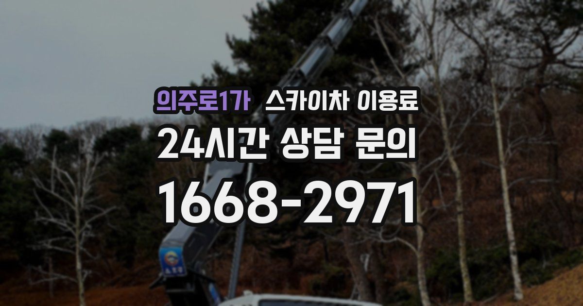 의주로1가 스카이차 이용료