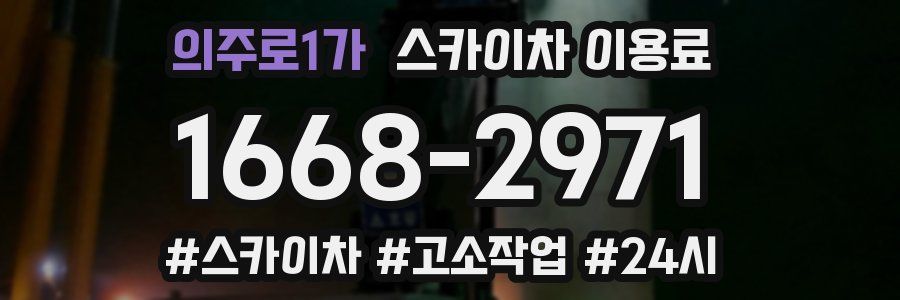 의주로1가 스카이차 이용료