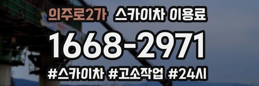 의주로2가 스카이차 이용료