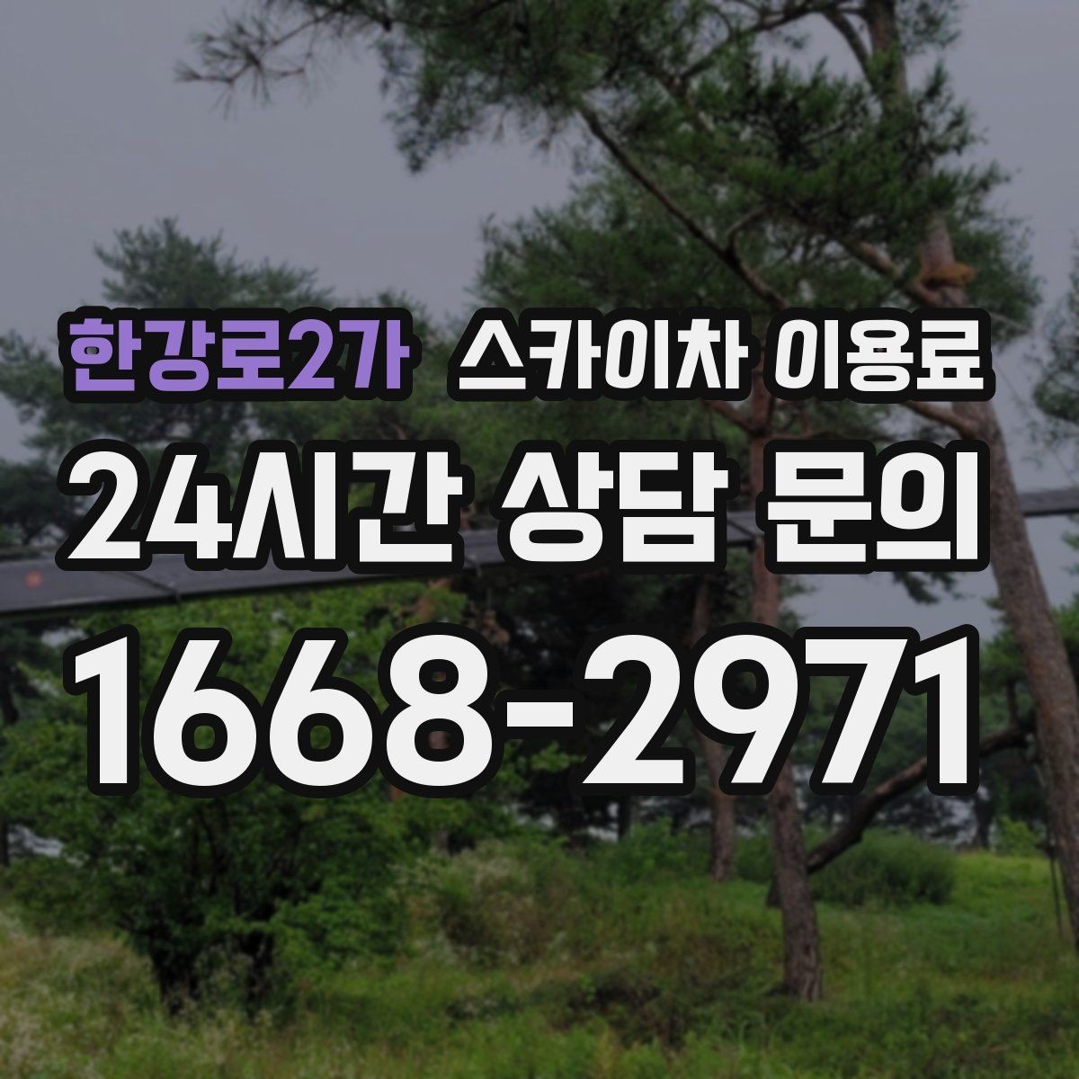 한강로2가 스카이차 이용료 절감보다 중요한 안전 체크포인트