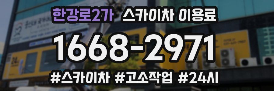 한강로2가 스카이차 이용료