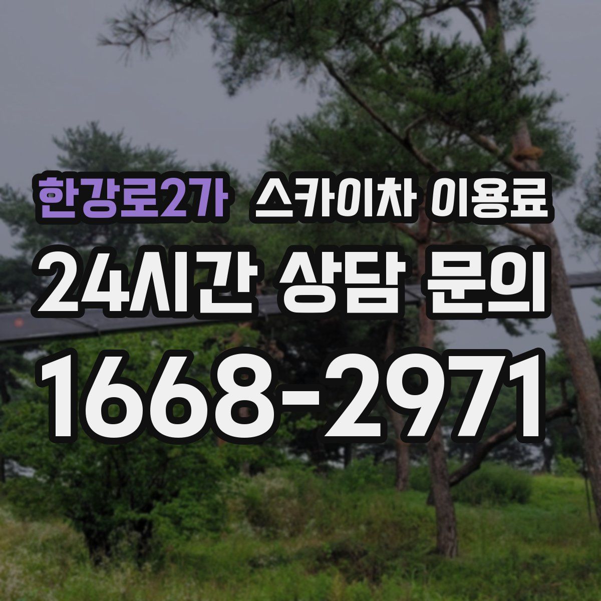 한강로2가 스카이차 이용료