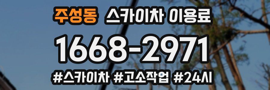 주성동 스카이차 이용료