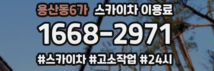 용산동6가 스카이차 이용료