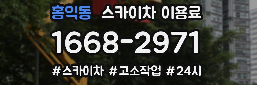 홍익동 스카이차 이용료