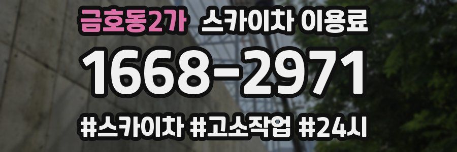 금호동2가 스카이차 이용료