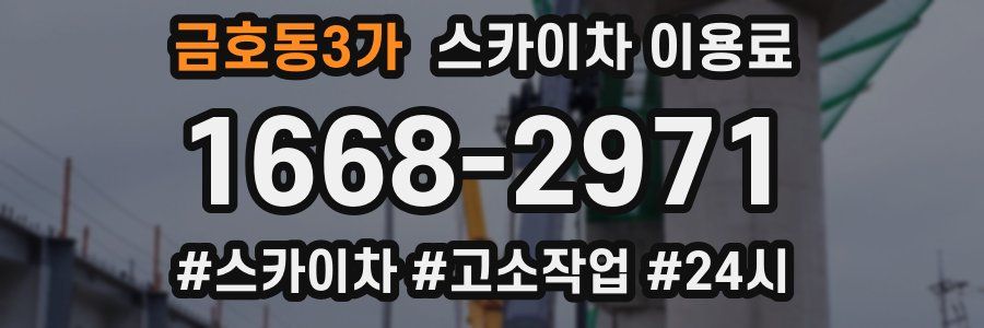 금호동3가 스카이차 이용료