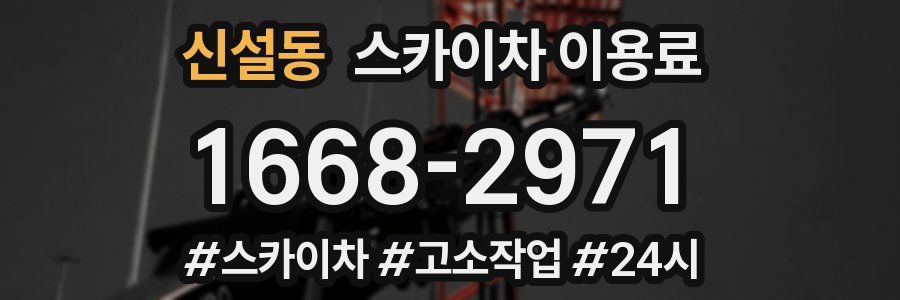 신설동 스카이차 이용료