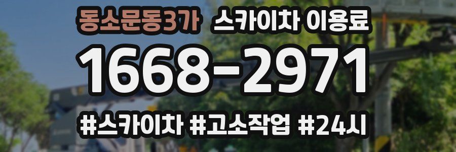 동소문동3가 스카이차 이용료