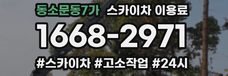 동소문동7가 스카이차 이용료