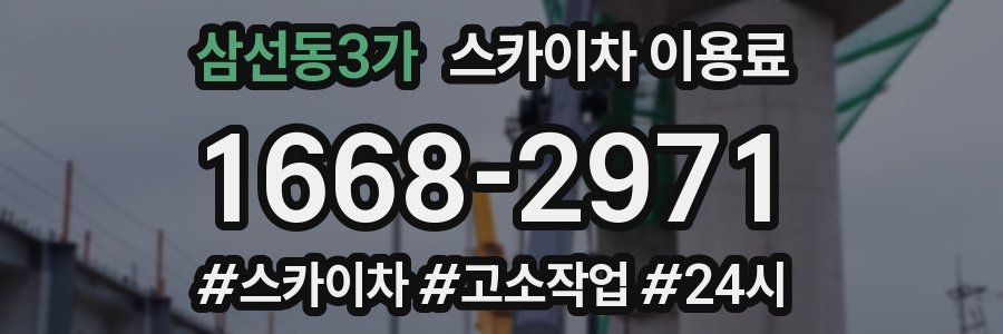 삼선동3가 스카이차 이용료