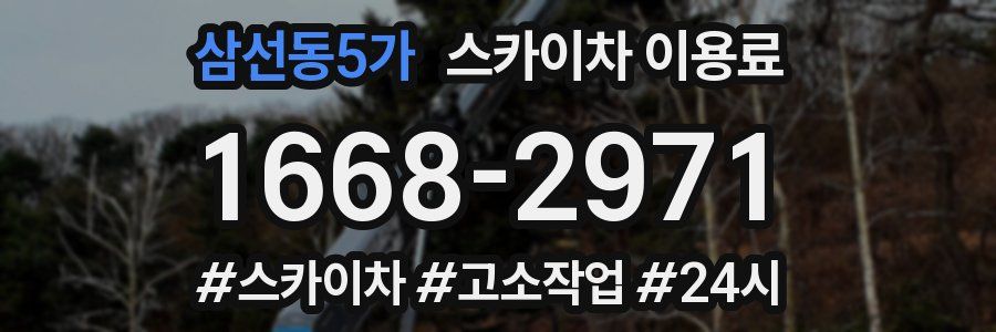 삼선동5가 스카이차 이용료