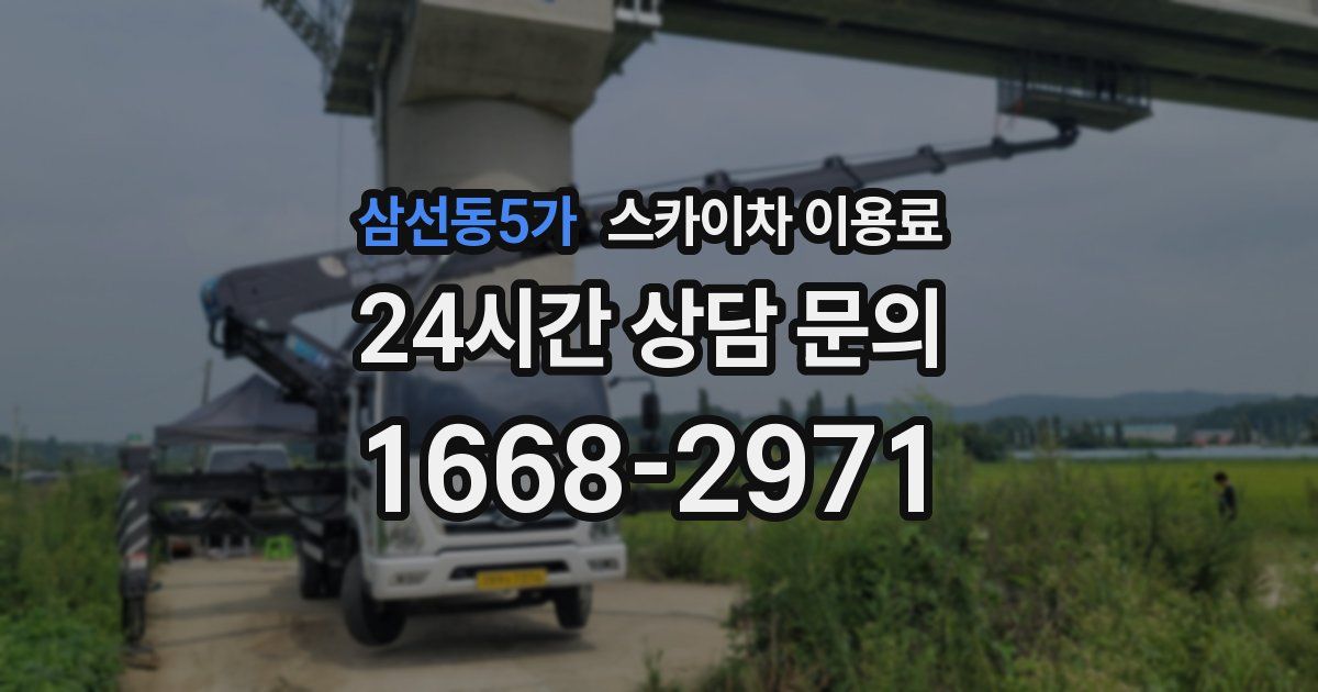 삼선동5가 스카이차 이용료