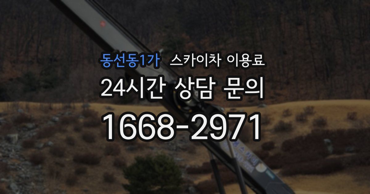 동선동1가 스카이차 이용료
