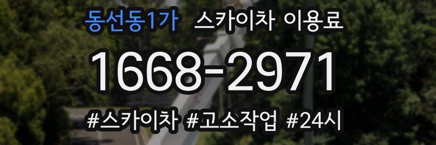 동선동1가 스카이차 이용료