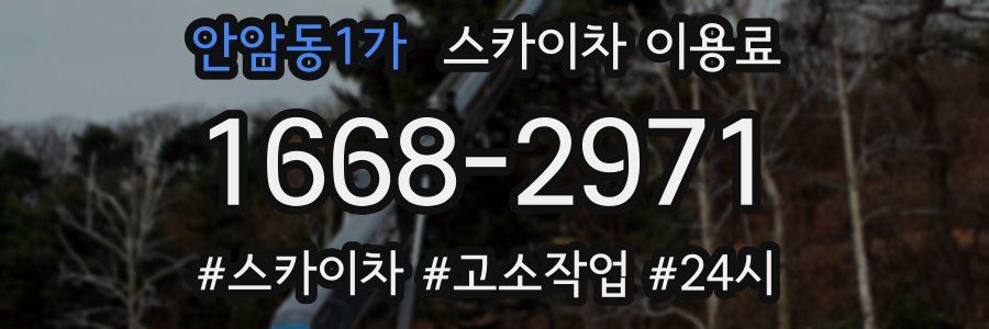 안암동1가 스카이차 이용료