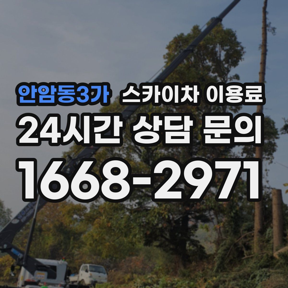 안암동3가 스카이차 이용료