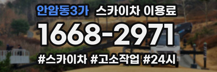 안암동3가 스카이차 이용료
