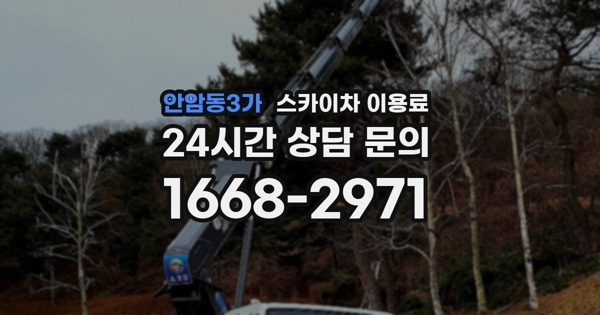 안암동3가 스카이차 이용료