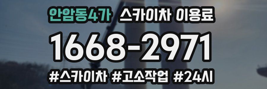 안암동4가 스카이차 이용료