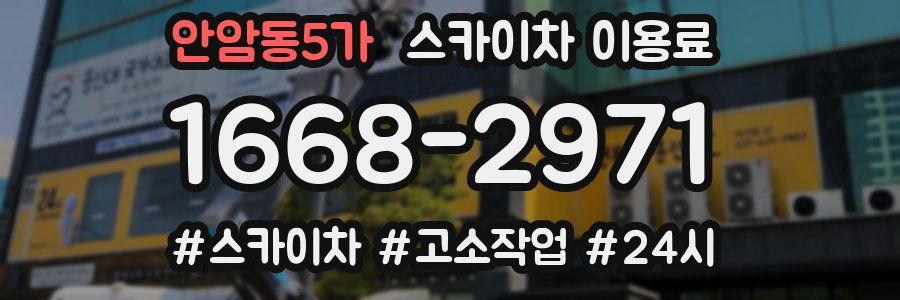 안암동5가 스카이차 이용료
