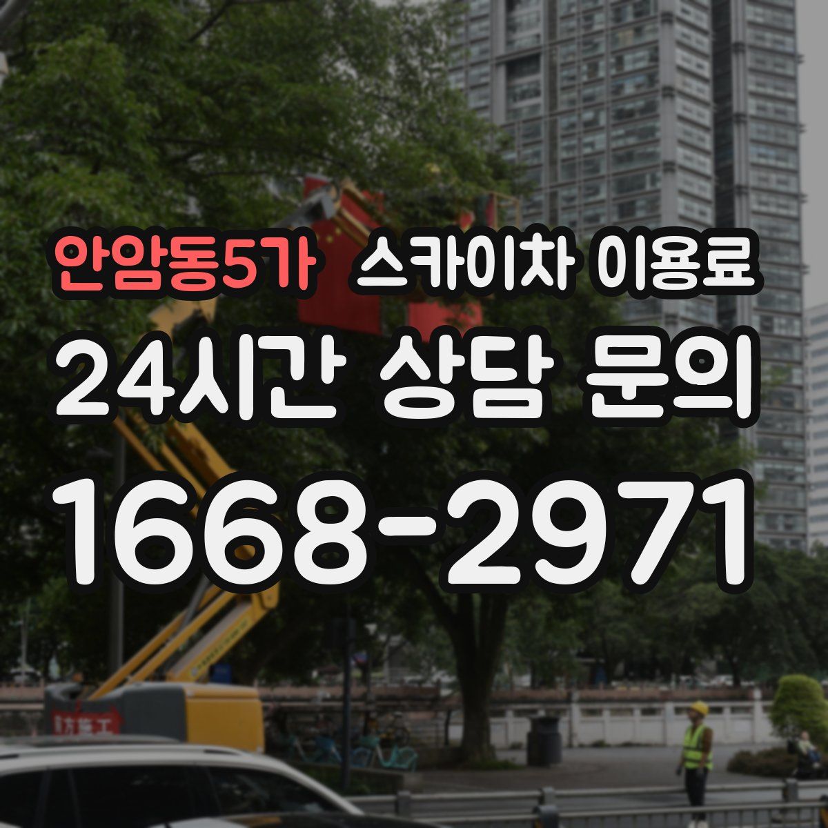 안암동5가 스카이차 이용료