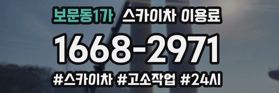 보문동1가 스카이차 이용료