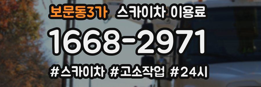 보문동3가 스카이차 이용료