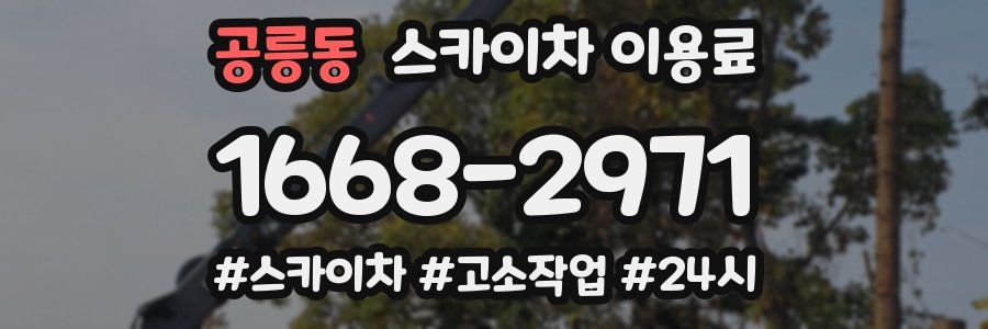 공릉동 스카이차 이용료