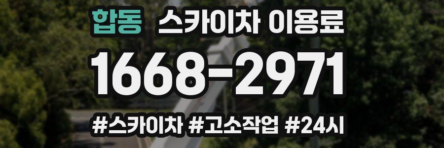 합동 스카이차 이용료