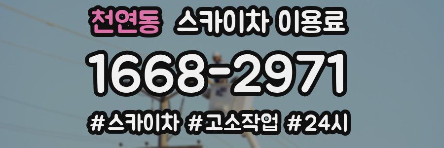 천연동 스카이차 이용료