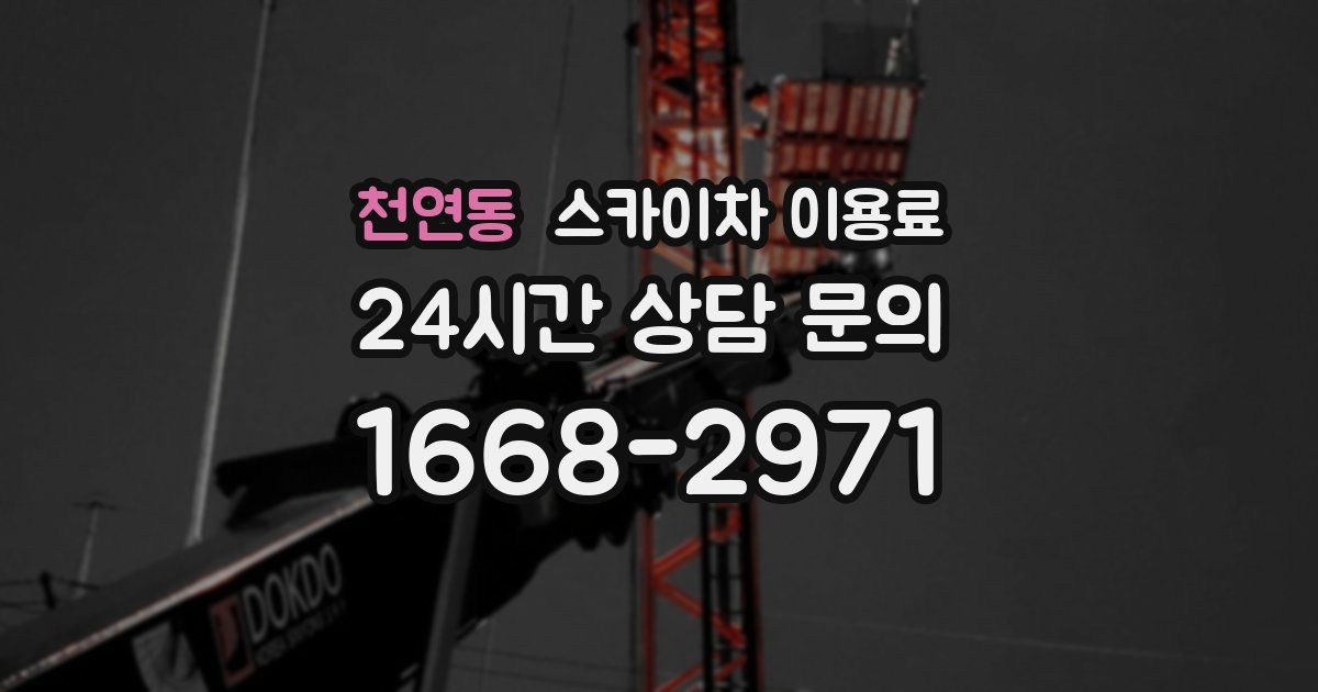 천연동 스카이차 이용료
