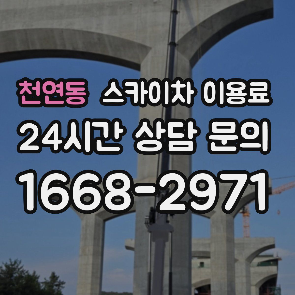 천연동 스카이차 이용료