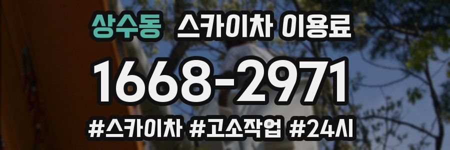 상수동 스카이차 이용료