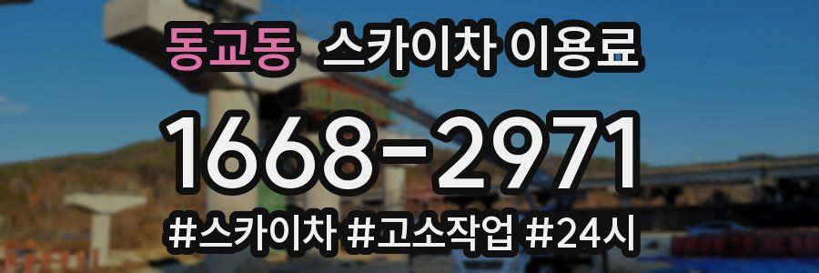 동교동 스카이차 이용료