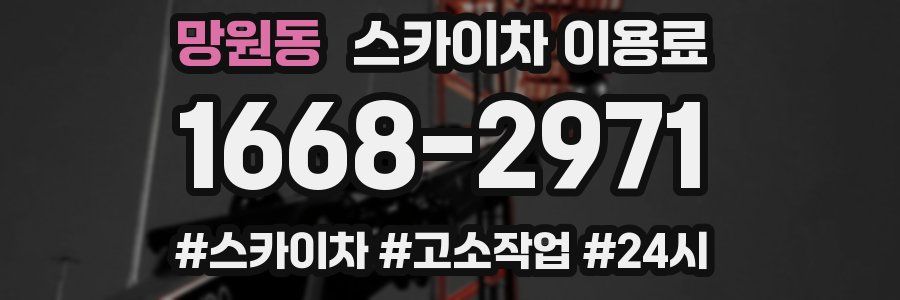 망원동 스카이차 이용료