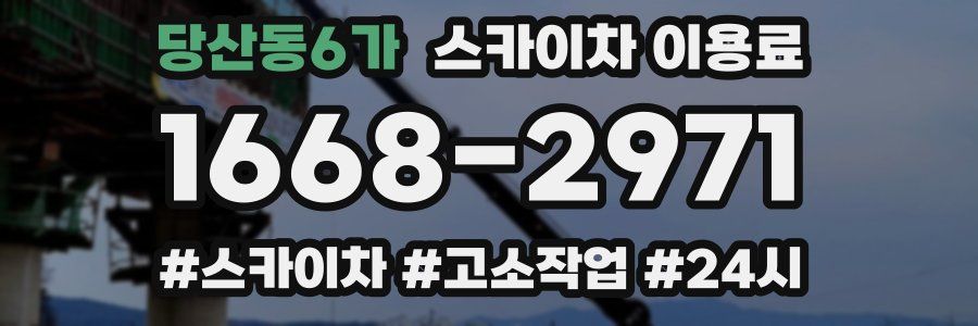 당산동6가 스카이차 이용료