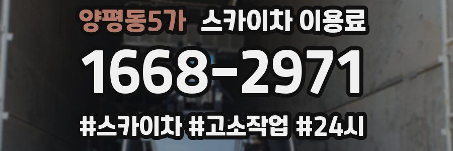 양평동5가 스카이차 이용료