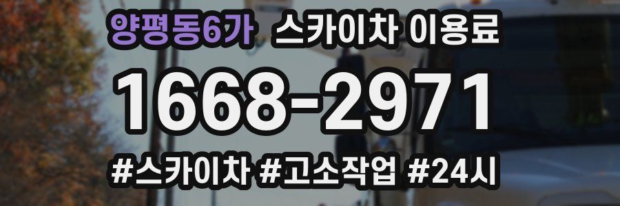 양평동6가 스카이차 이용료
