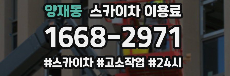 양재동 스카이차 이용료