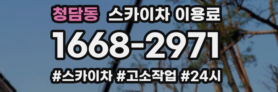 청담동 스카이차 이용료