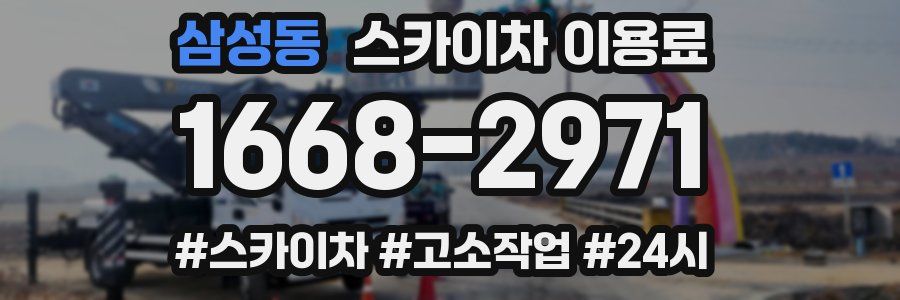 삼성동 스카이차 이용료