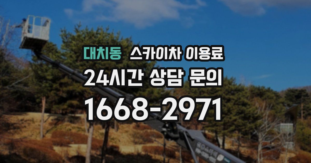 대치동 스카이차 이용료